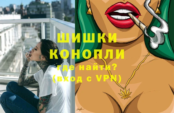 apvp Алзамай