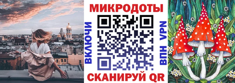 наркошоп Ставрополь Псилоцибиновые грибы Psilocybe