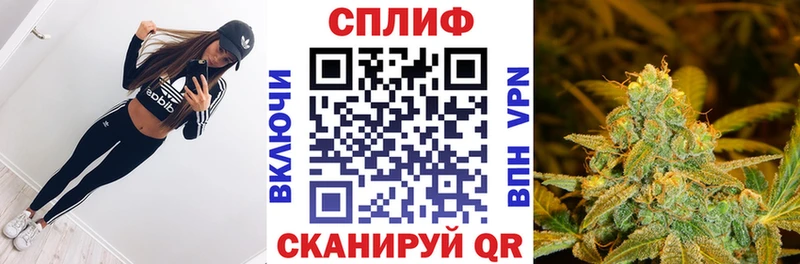 Конопля THC 21% Ставрополь