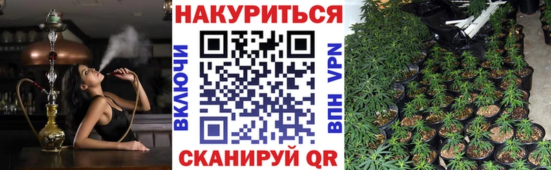 продажа наркотиков  Ставрополь  Шишки марихуана White Widow 